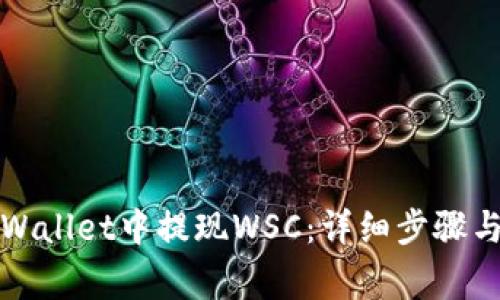 如何在TPWallet中提现WSC：详细步骤与注意事项