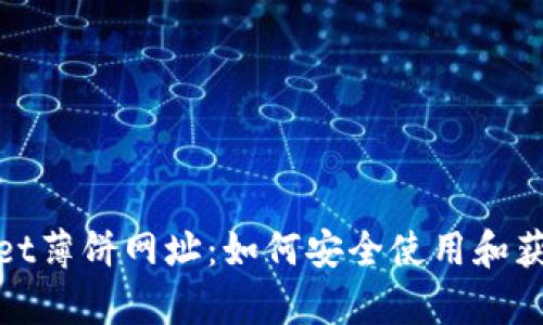 tpwallet薄饼网址：如何安全使用和获取信息