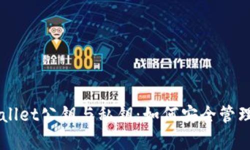 深度解析TPWallet公钥与私钥：如何安全管理你的加密资产