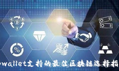   
tpwallet支持的最佳区块链选择指南