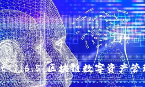 TPWallet 1.6.5：区块链数字资产管理新体验