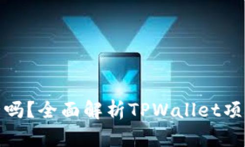 tpwallet的币会跑路吗？全面解析TPWallet项目的潜在风险与机会