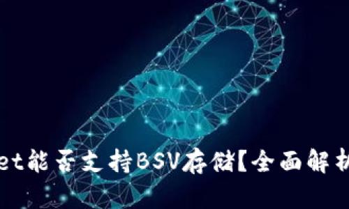 TPWallet能否支持BSV存储？全面解析与指南