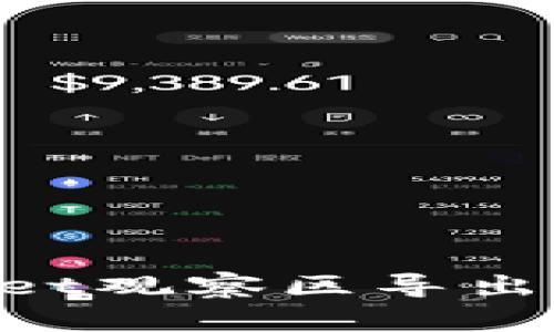 如何在TPWallet观察区导出私钥：详细指南