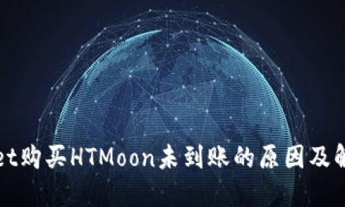 TPWallet购买HTMoon未到账的原因及解决方案