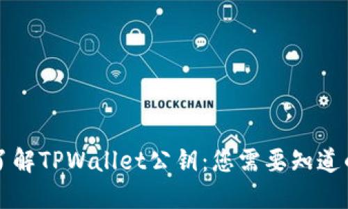 深入了解TPWallet公钥：您需要知道的一切