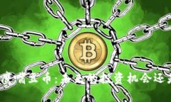 揭秘虚拟货币鹰嘴豆币：未来的投资机会还是短