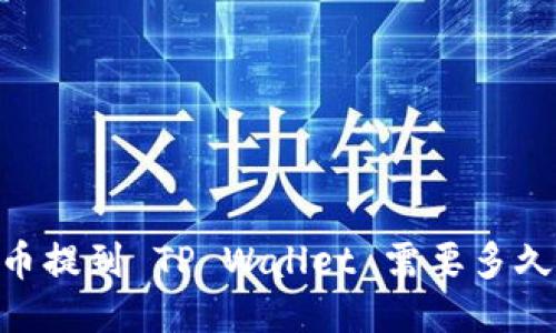 NFT 币提到 TP Wallet 需要多久到账？