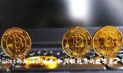 探索TPWallet的加油站版本：