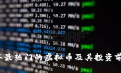 2023年最热门的虚拟币及其