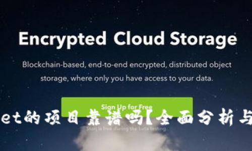 上TPWallet的项目靠谱吗？全面分析与投资策略