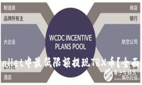 如何在TPWallet中最低限额提现TRX币？全面指南与技巧