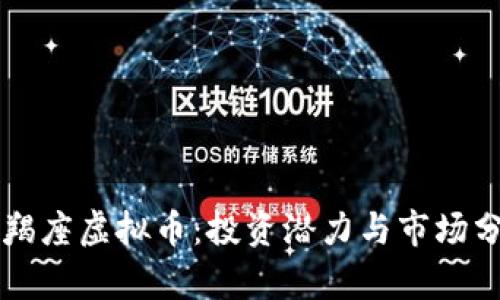 摩羯座虚拟币：投资潜力与市场分析