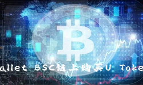 如何在TPWallet BSC链上购买U Token：完整指南