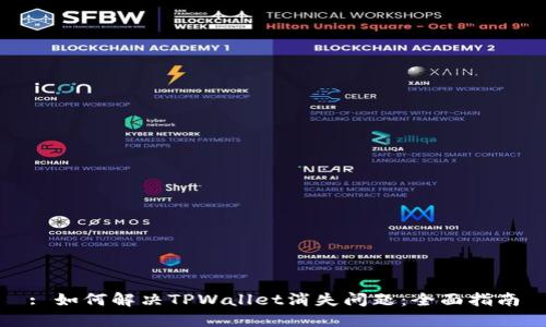 : 如何解决TPWallet消失问题：全面指南