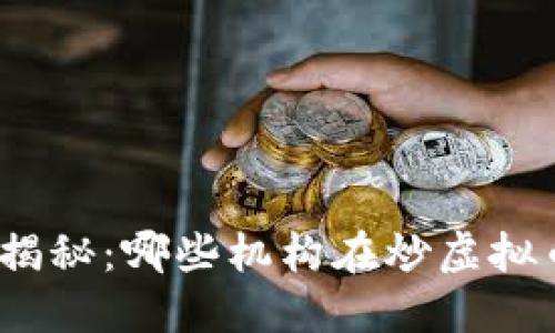 : 揭秘：哪些机构在炒虚拟币？