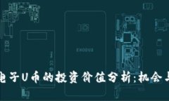 虚拟电子U币的投资价值分