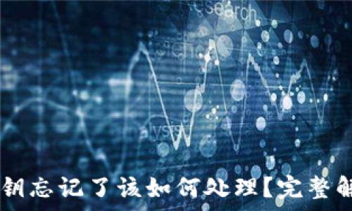  
TPWallet密钥忘记了该如何处理？完整解决方案解析