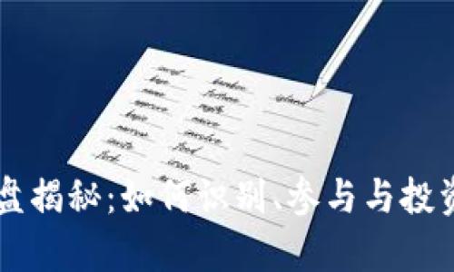 虚拟币私盘揭秘：如何识别、参与与投资风险分析