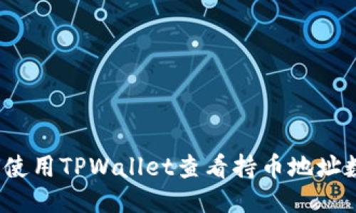 如何使用TPWallet查看持币地址数量？