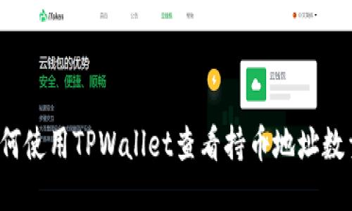 如何使用TPWallet查看持币地址数量？