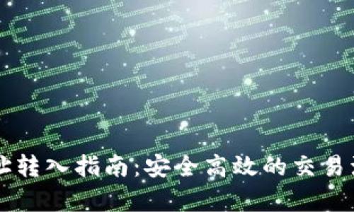 虚拟币地址转入指南：安全高效的交易流程全解析