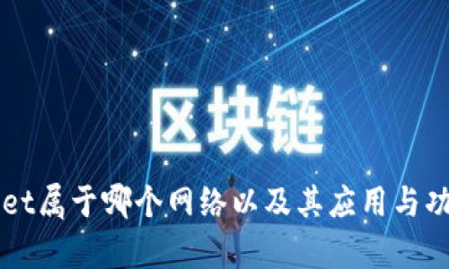 TPWallet属于哪个网络以及其应用与功能解析