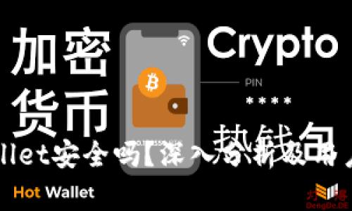 TPWallet安全吗？深入分析及用户反馈