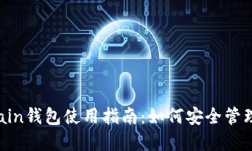 TP的SmartChain钱包使用指南：如何安全管理你的加密资产